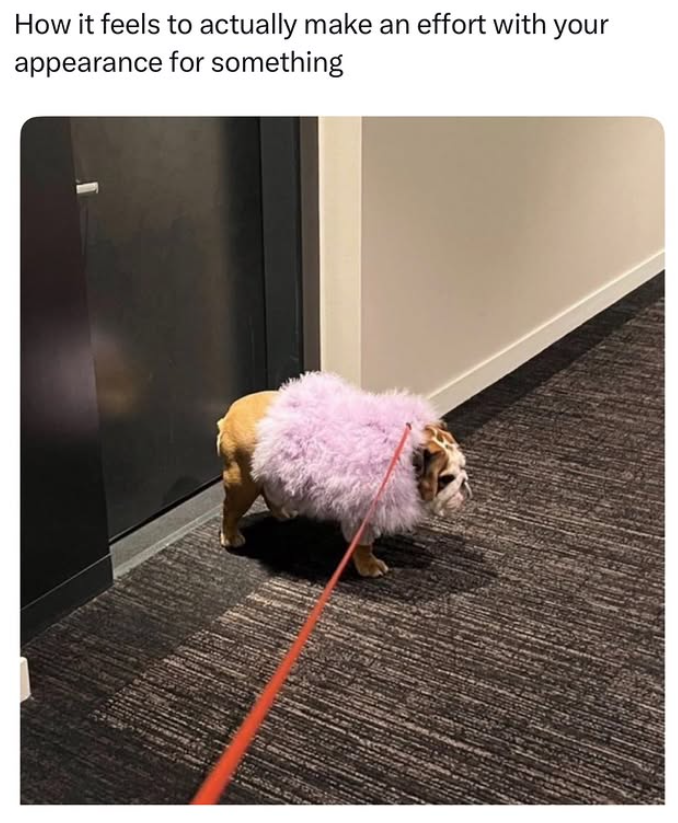 How it feels to actually make an effort with your appearance for something