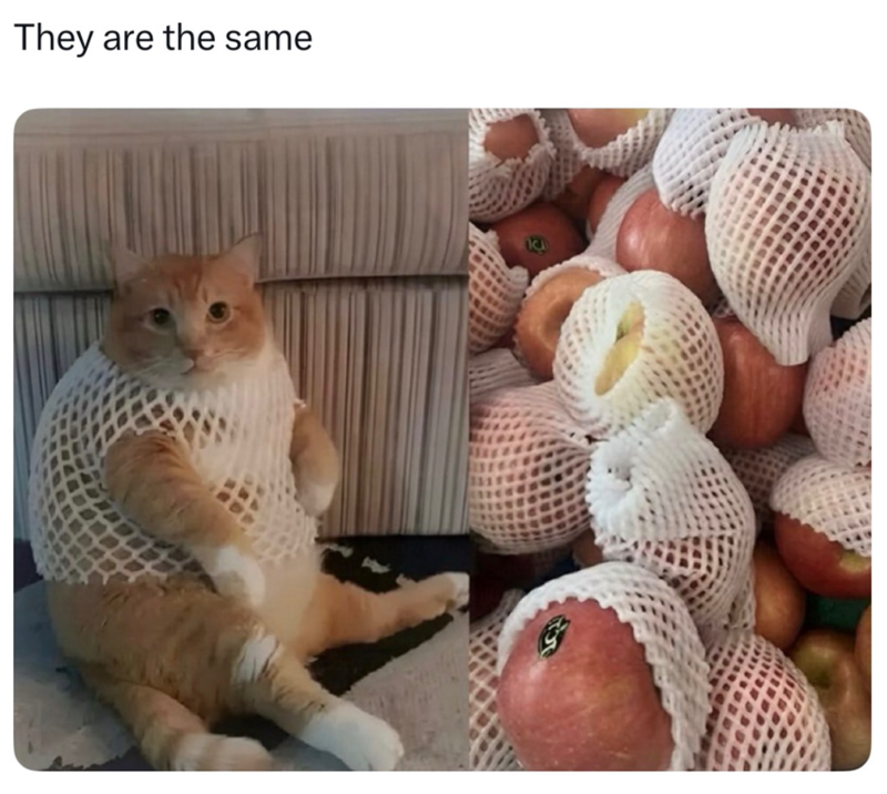 They are the same