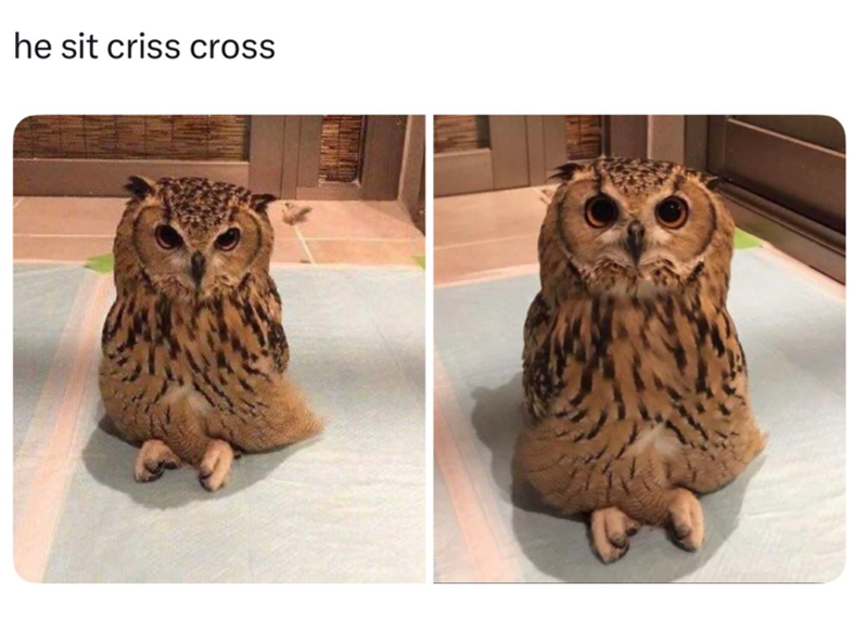 he sit criss cross