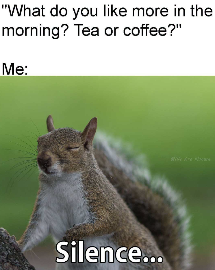 "What do you like more in the morning? Tea or coffee?" Me: Silence... @We Are Nature