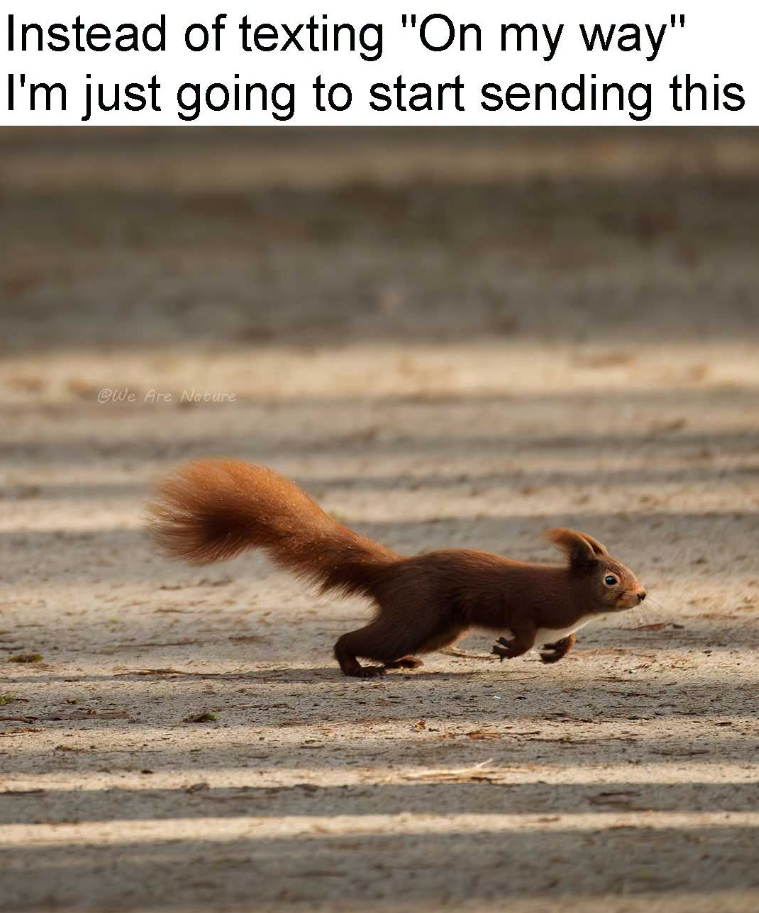 Instead of texting "On my way" I'm just going to start sending this @We Are Nature