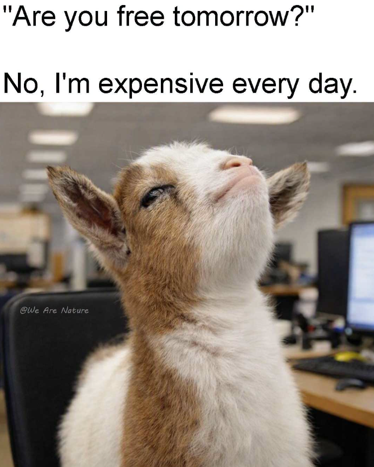 "Are you free tomorrow?" No, I'm expensive every day. @We Are Nature