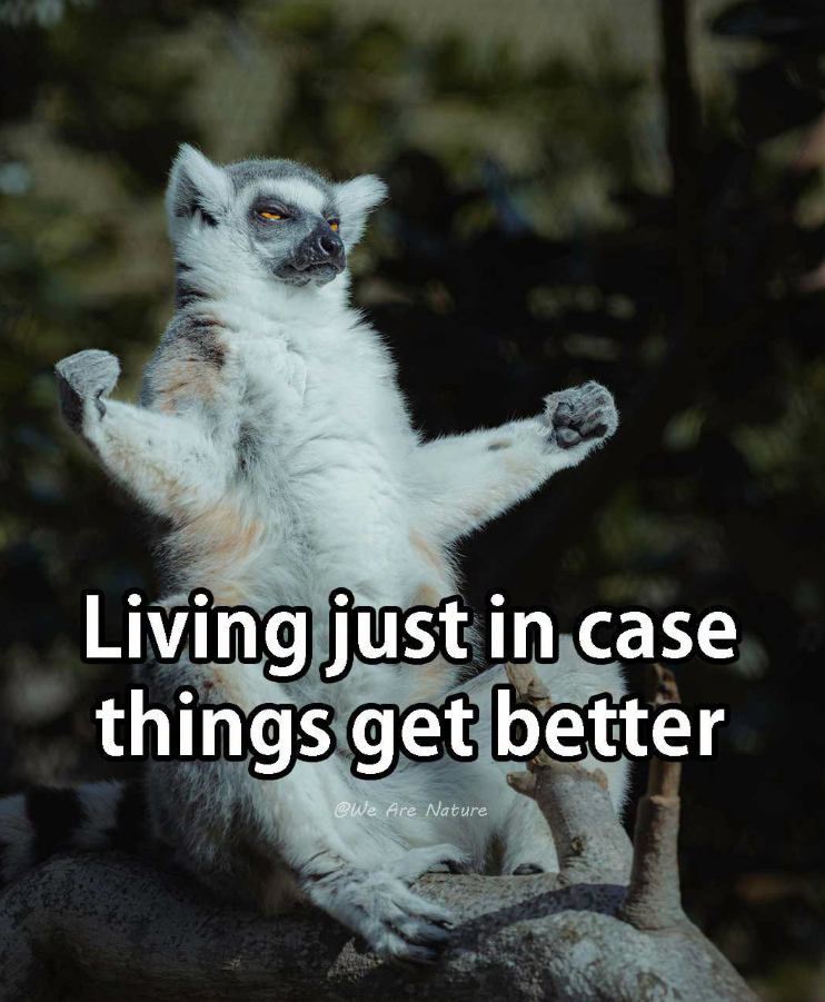 Living just in case things get better @We Are Nature