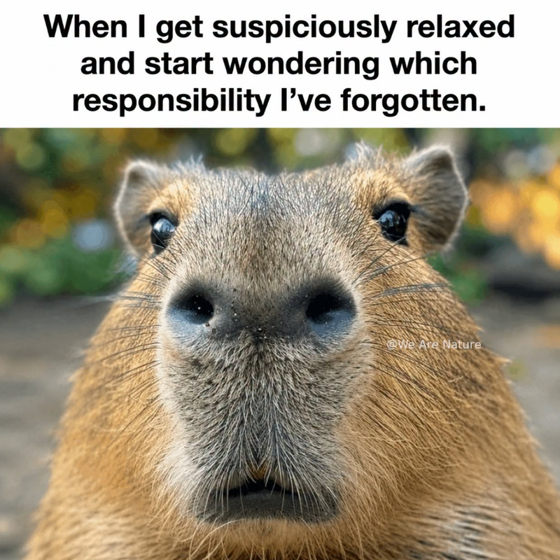 When I get suspiciously relaxed and start wondering which responsibility I've forgotten. We Are Nature