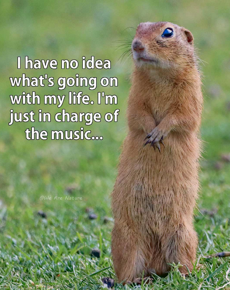 I have no idea what's going on with my life. I'm just in charge of the music... @We Are Nature