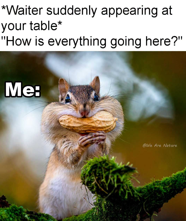 *Waiter suddenly appearing at your table* "How is everything going here?" Me: @We Are Nature