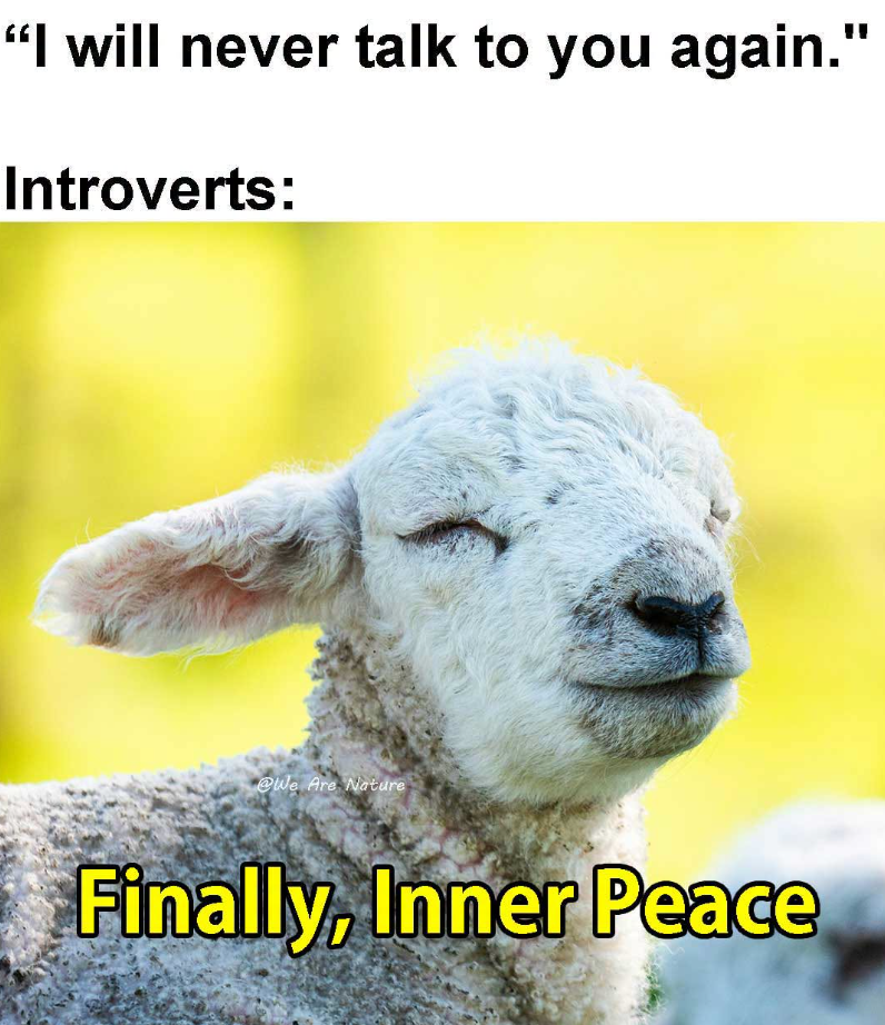 "I will never talk to you again." Introverts: @We Are Nature Finally, Inner Peace
