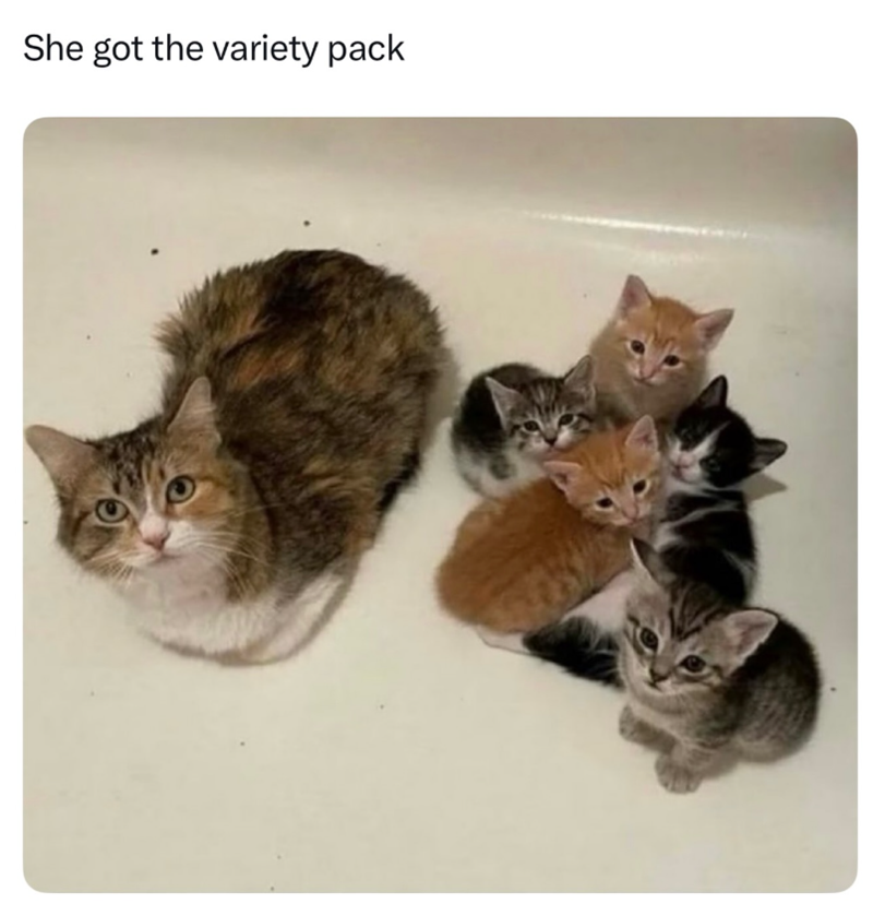 She got the variety pack