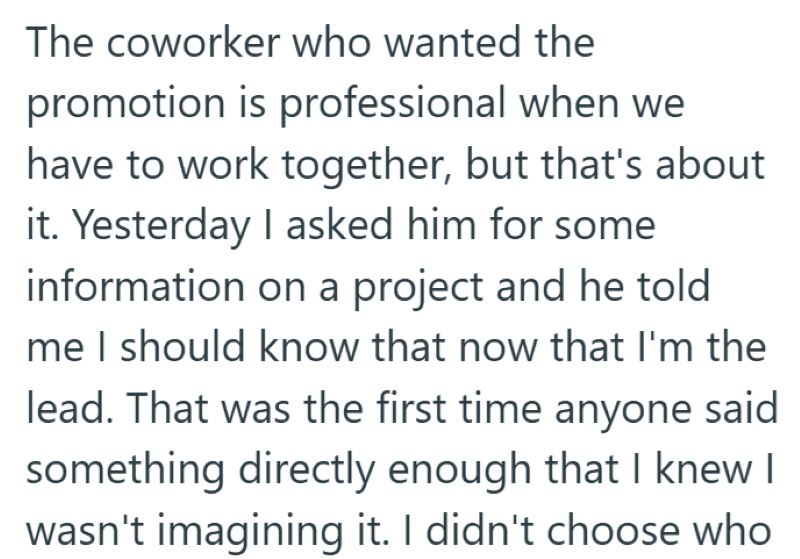 The coworker who wanted the promotion is professional when we have to work together, but that's about it. Yesterday I asked him for some information on a project and he told me I should know that now that I'm the lead. That was the first time anyone said something directly enough that I knew I wasn't imagining it. I didn't choose who