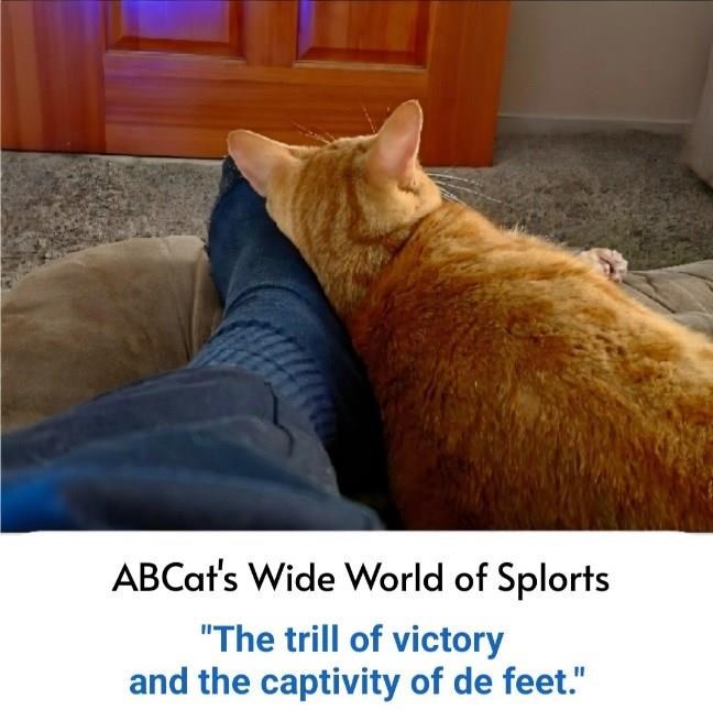 ABCat's Wide World of Splorts "The trill of victory and the captivity of de feet."