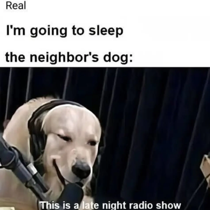 Real I'm going to sleep the neighbor's dog: This is a late night radio show