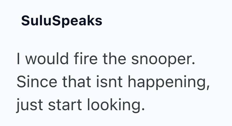 SuluSpeaks I would fire the snooper. Since that isnt happening, just start looking.