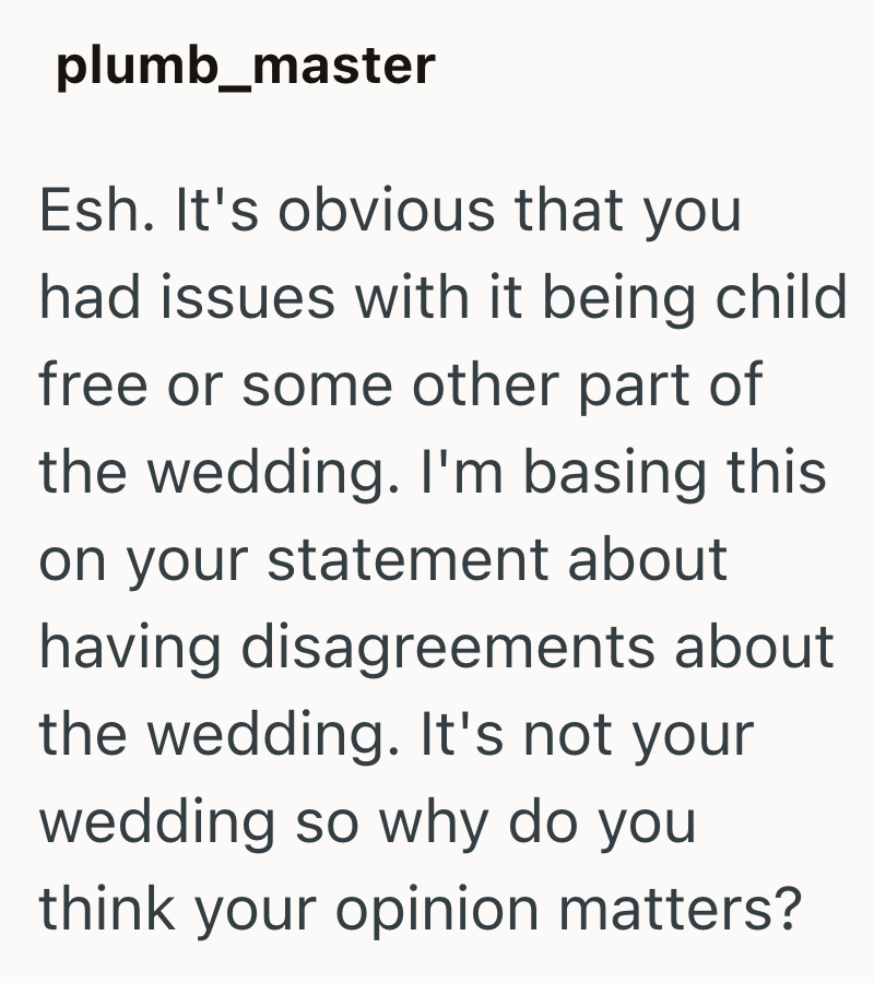 plumb_master Esh. It's obvious that you had issues with it being child free or some other part of the wedding. I'm basing this on your statement about having disagreements about the wedding. It's not your wedding so why do you think your opinion matters?