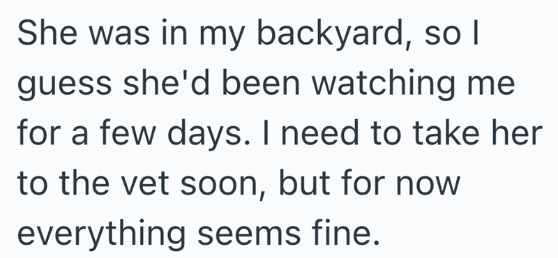 She was in my backyard, so I guess she'd been watching me for a few days. I need to take her to the vet soon, but for now everything seems fine.