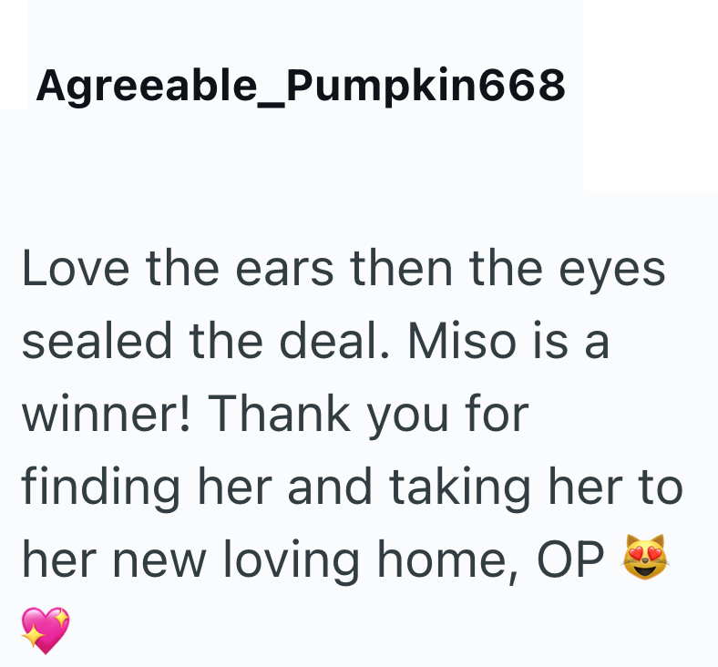 Agreeable_Pumpkin668 Love the ears then the eyes sealed the deal. Miso is a winner! Thank you for finding her and taking her to her new loving home, OP