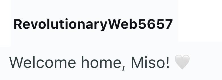 RevolutionaryWeb5657 Welcome home, Miso!
