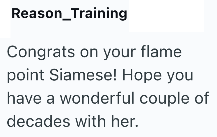 Reason_Training Congrats on your flame. point Siamese! Hope you have a wonderful couple of decades with her.