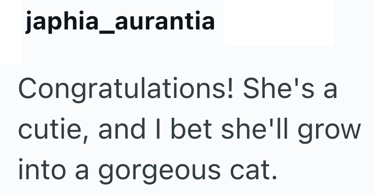 japhia_aurantia Congratulations! She's a cutie, and I bet she'll grow into a gorgeous cat.