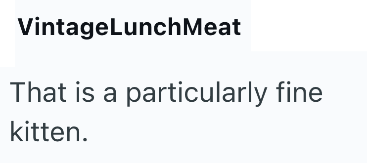 VintageLunch Meat That is a particularly fine kitten.