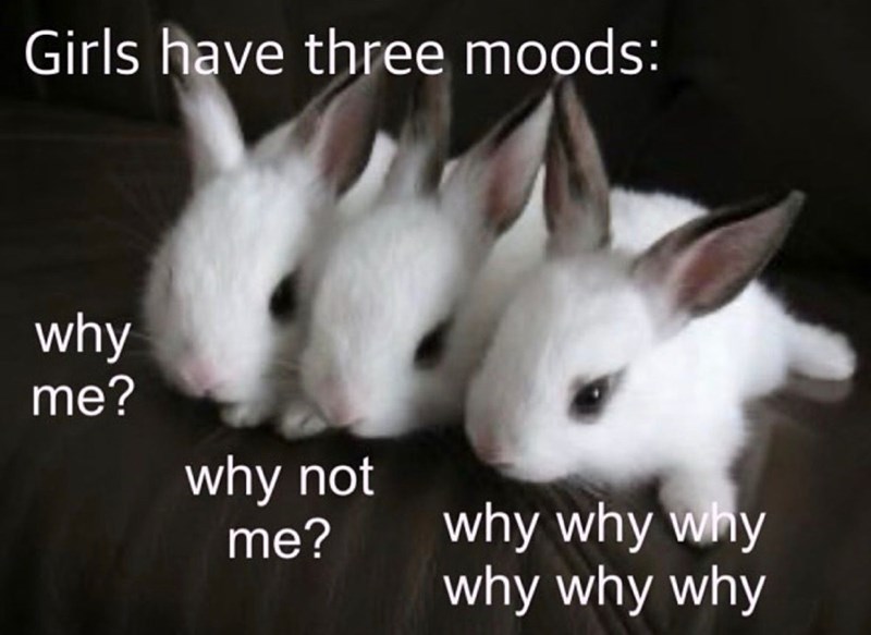 Girls have three moods: why me? why not me? why why why why why why
