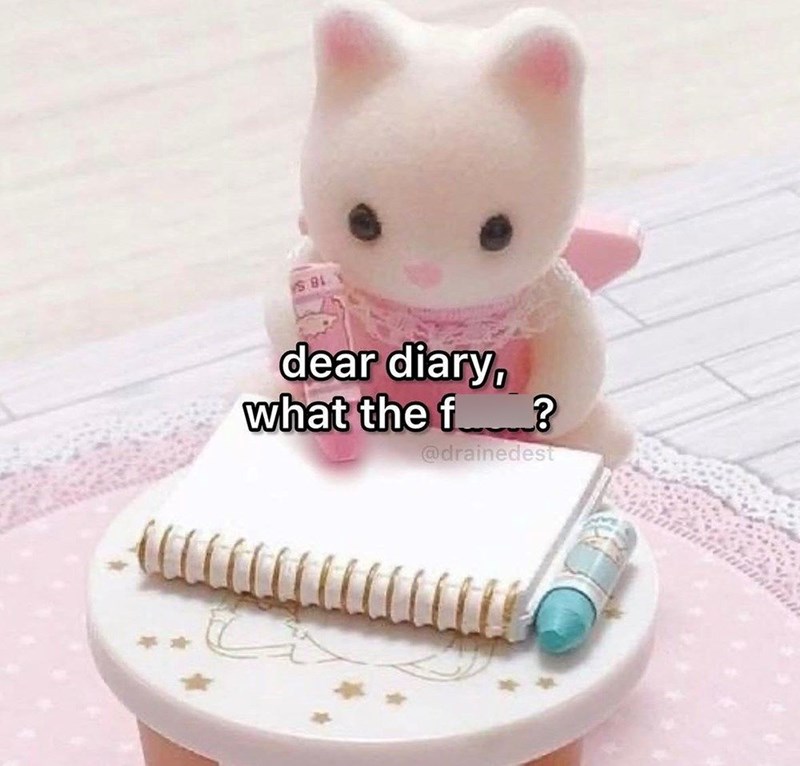 S.BL dear diary, what the f? @drainedest