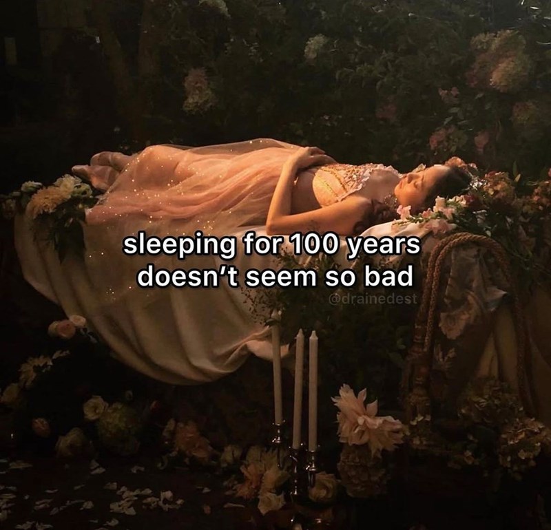 sleeping for 100 years doesn't seem so bad @drainedest