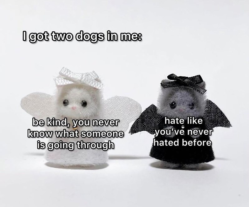 I got two dogs in me: be kind, you never know what someone is going through hate like you've never hated before