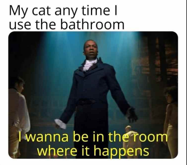 My cat any time I use the bathroom I wanna be in the room where it happens