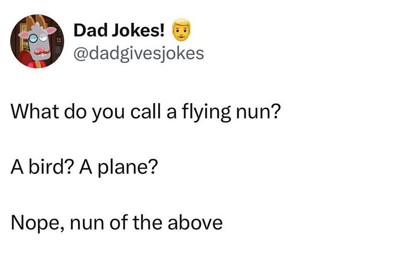 Dad Jokes! @dadgivesjokes What do you call a flying nun? A bird? A plane? Nope, nun of the above