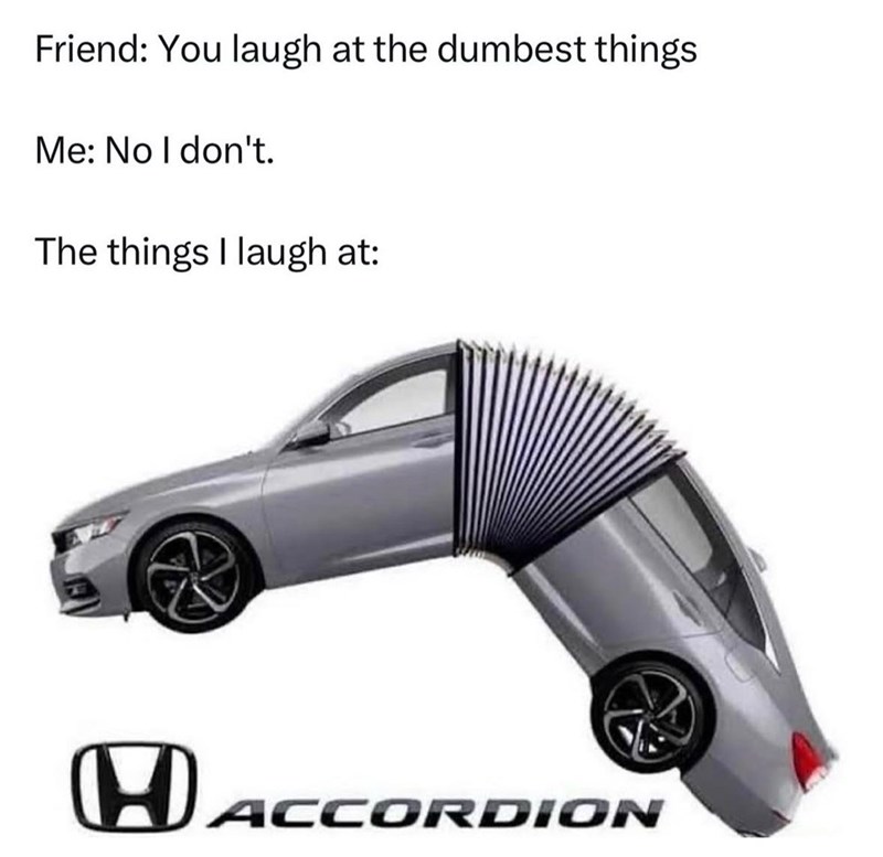 Friend: You laugh at the dumbest things Me: No I don't. The things I laugh at: H ACCORDION