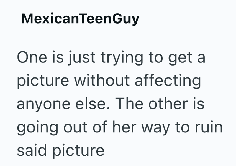 MexicanTeenGuy One is just trying to get a picture without affecting anyone else. The other is going out of her way to ruin said picture