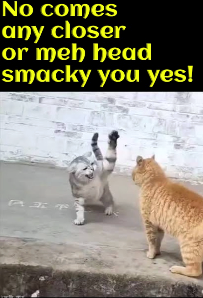 No comes any closer or meh head smacky you yes! imaflin.com