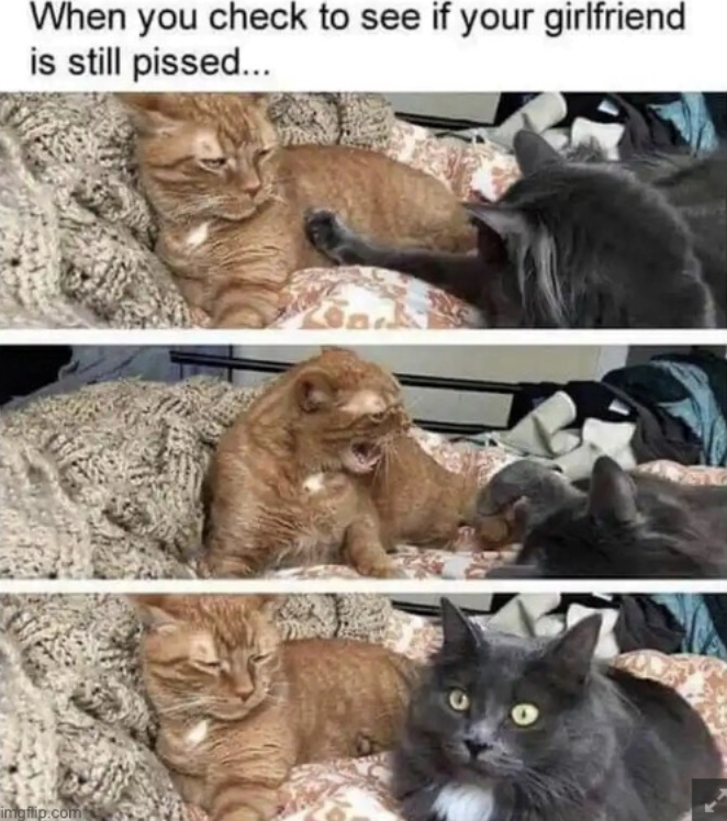 When you check to see if your girlfriend is still pissed... imgflip.com