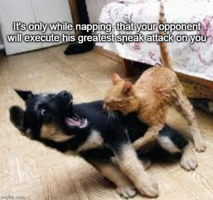 It's only while napping, that your opponent will execute his greatest sneak attack on you imgflip.com
