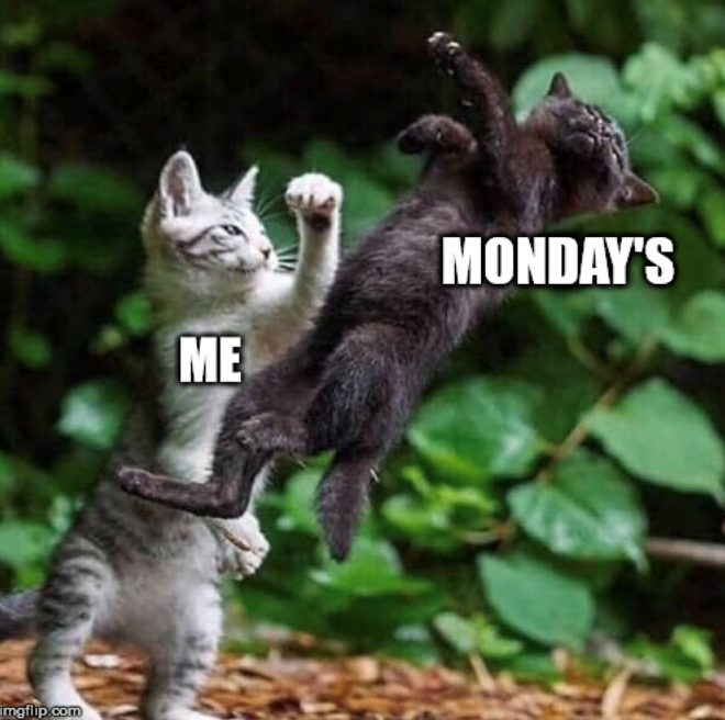 imgflip.com ME MONDAY'S