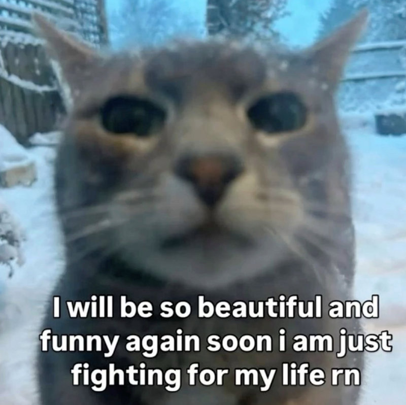 I will be so beautiful and funny again soon i am just fighting for my life rn
