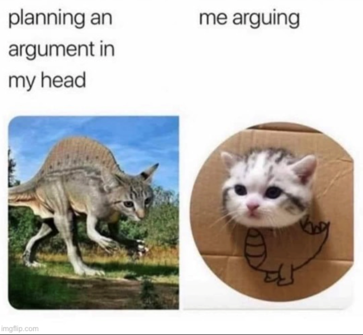 planning an argument in my head me arguing imgflip.com