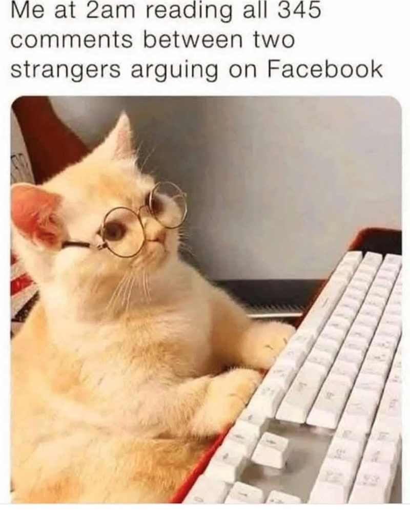 Me at 2am reading all 345 comments between two strangers arguing on Facebook