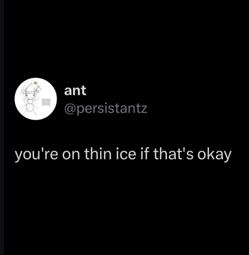 ant @persistantz you're on thin ice if that's okay