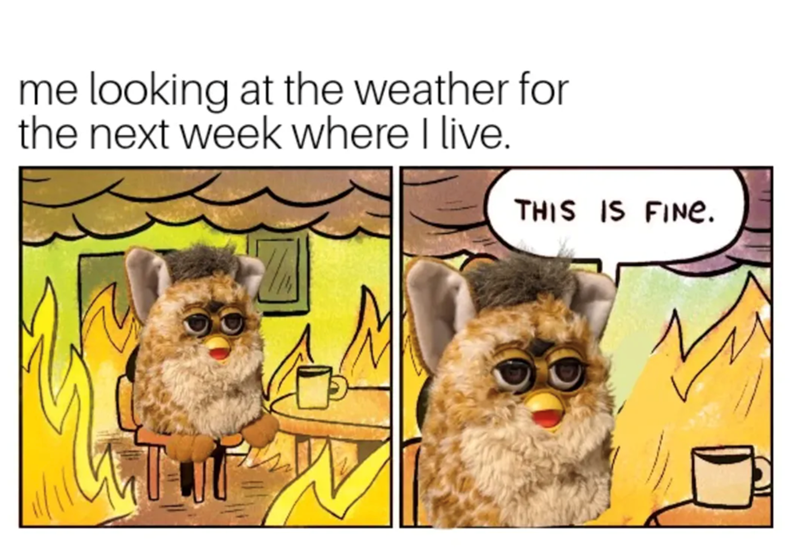 me looking at the weather for the next week where I live. THIS IS FINE.