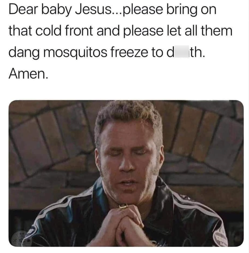 Dear baby Jesus...please bring on that cold front and please let all them dang mosquitos freeze to d th. Amen.