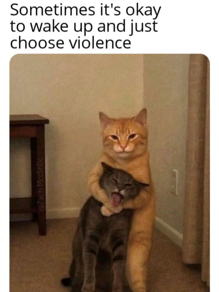 @Zach Mcclintic Sometimes it's okay to wake up and just choose violence
