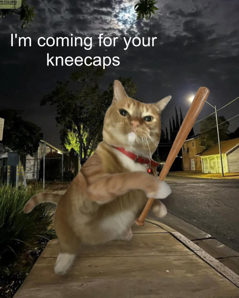 09-725-383 I'm coming for your kneecaps