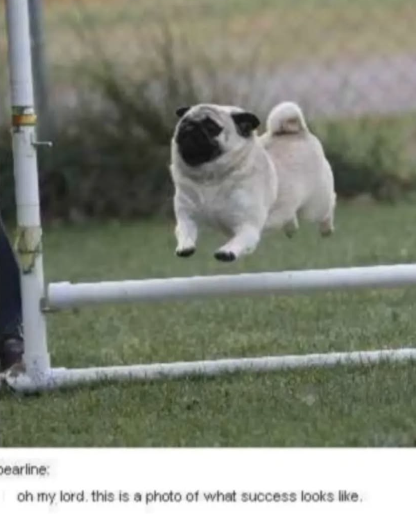 Dearline: oh my lord, this is a photo of what success looks like.