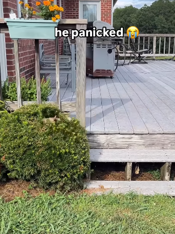 he panicked