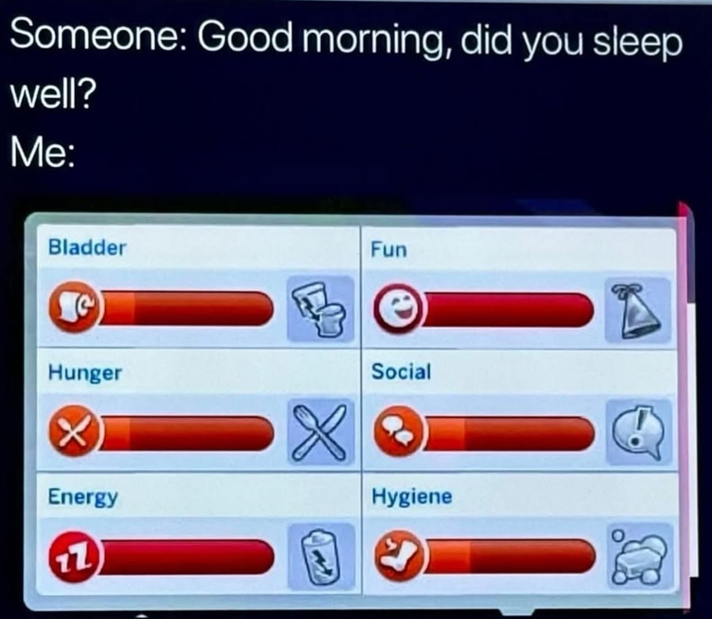 Someone: Good morning, did you sleep well? Me: Bladder Fun Hunger Social X Energy Hygiene 17