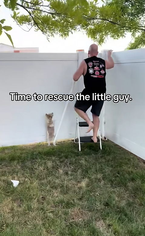 温 Time to rescue the little guy.