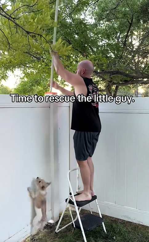 Time to rescue the little guy.