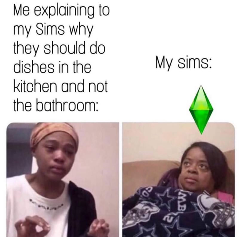 Me explaining to my Sims why they should do dishes in the kitchen and not the bathroom: My sims: EW!