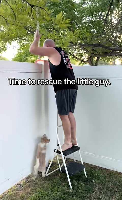Time to rescue the little guy.